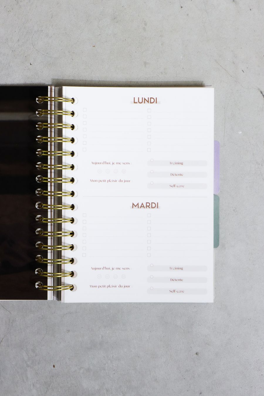 90 Days Planner Fitness